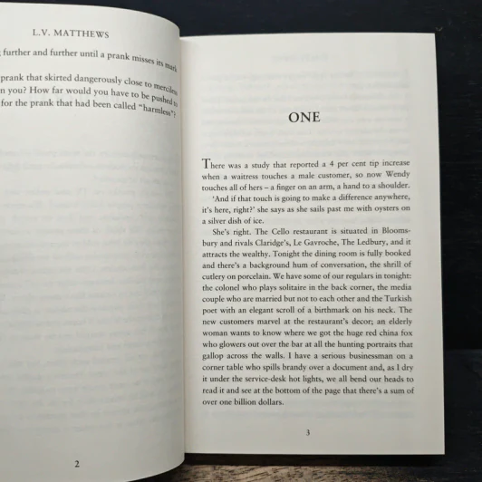 The Prank - L.V. Matthews รูปที่ 8