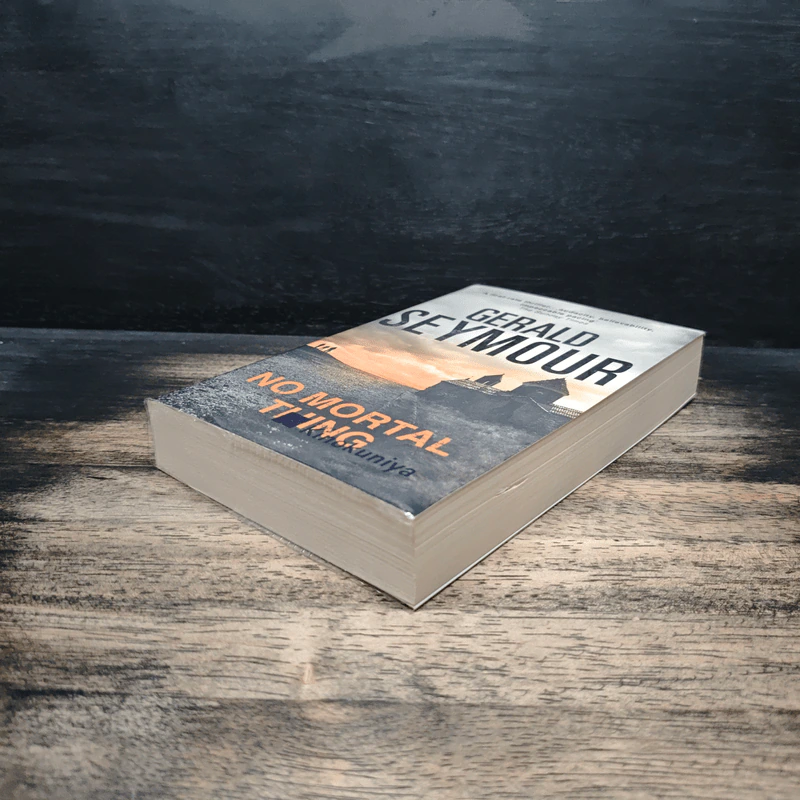 No Mortal Thing - Gerald Seymour รูปที่ 4