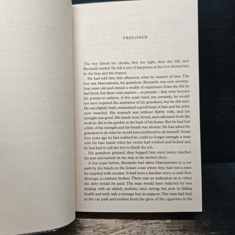 No Mortal Thing - Gerald Seymour รูปที่ 7