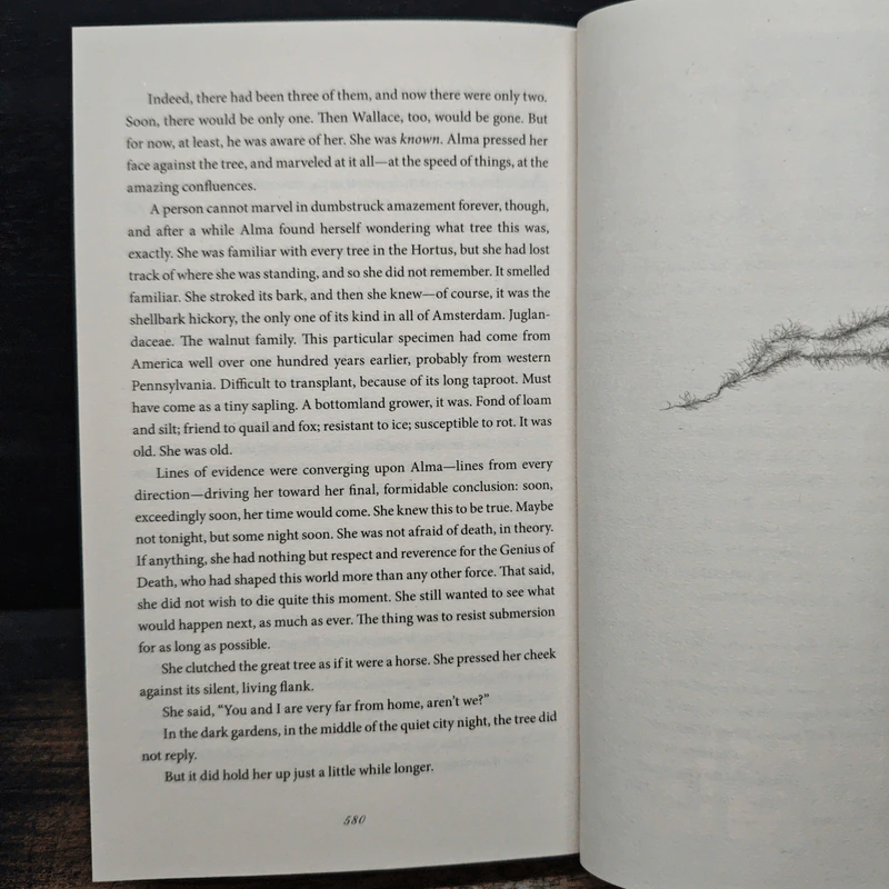 The Signature of All Things - Elizabeth Gilbert รูปที่ 9