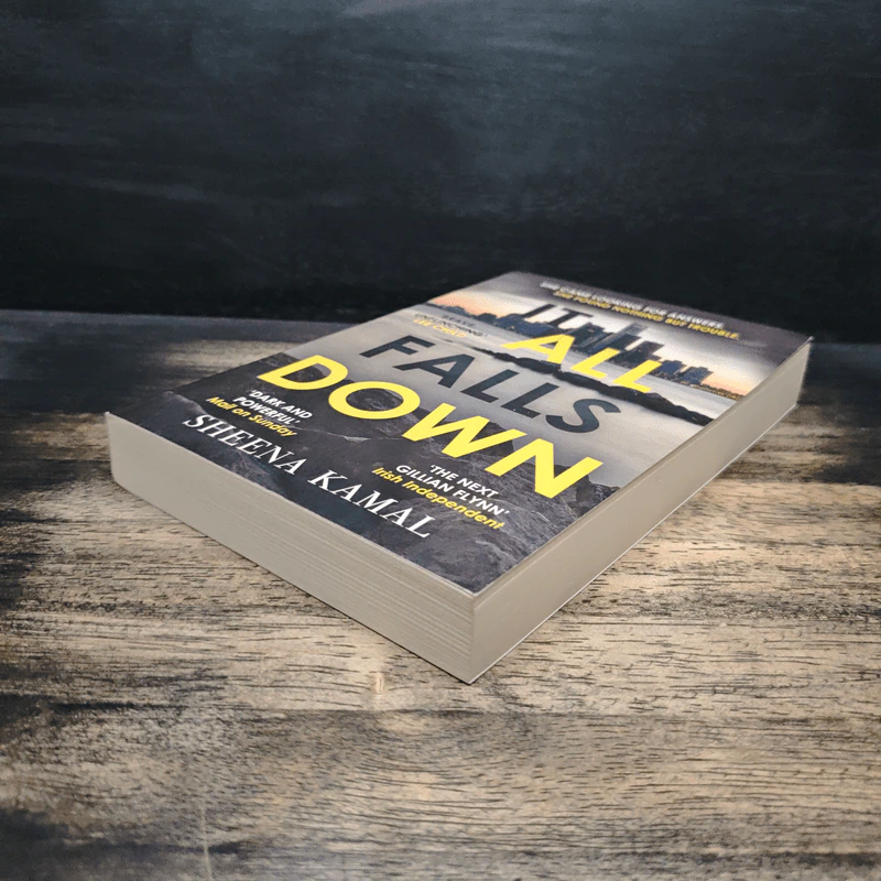 It All Falls Down - Sheena Kamal รูปที่ 4