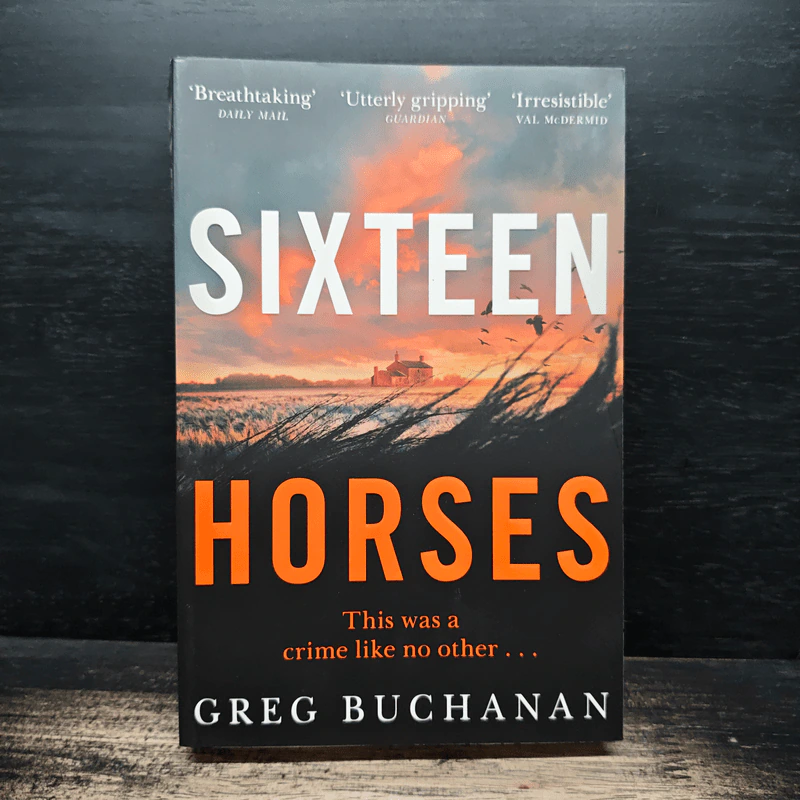 Sixteen Horses - Greg Buchanan รูปที่ 1