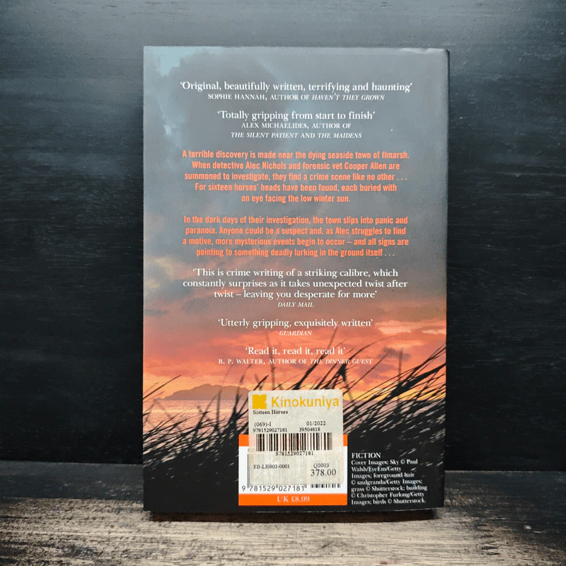 Sixteen Horses - Greg Buchanan รูปที่ 2