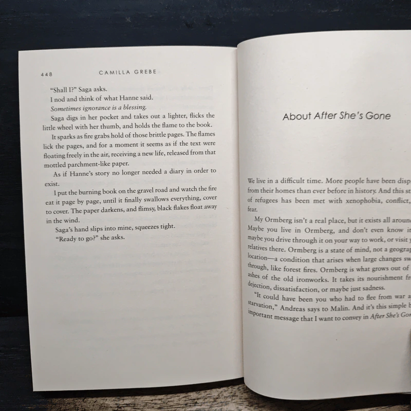 After She's Gone - Camilla Grebe รูปที่ 8