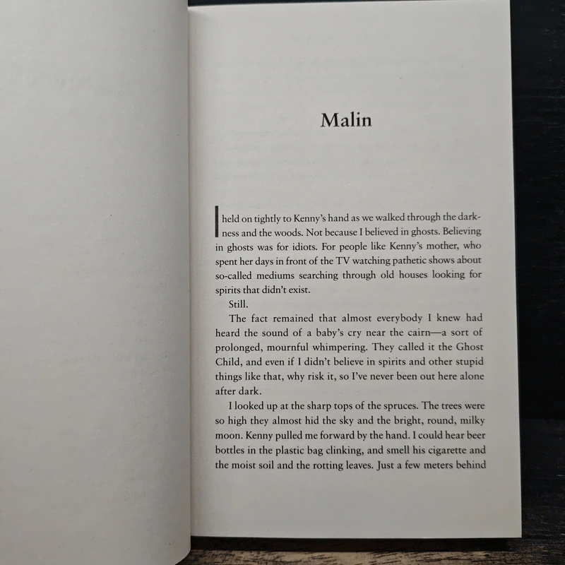 After She's Gone - Camilla Grebe รูปที่ 7