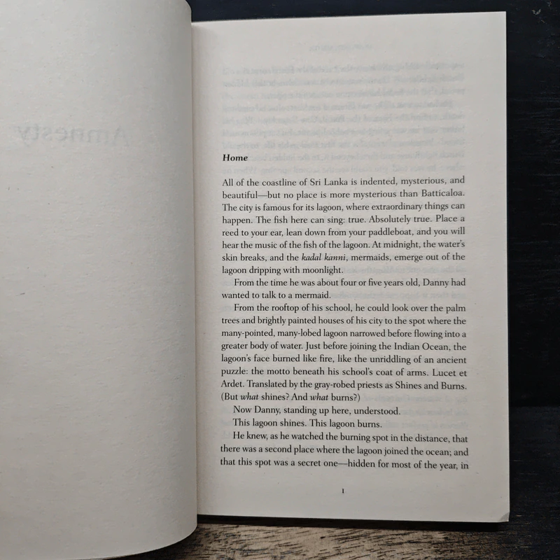 Amnesty - Aravind Adiga รูปที่ 7