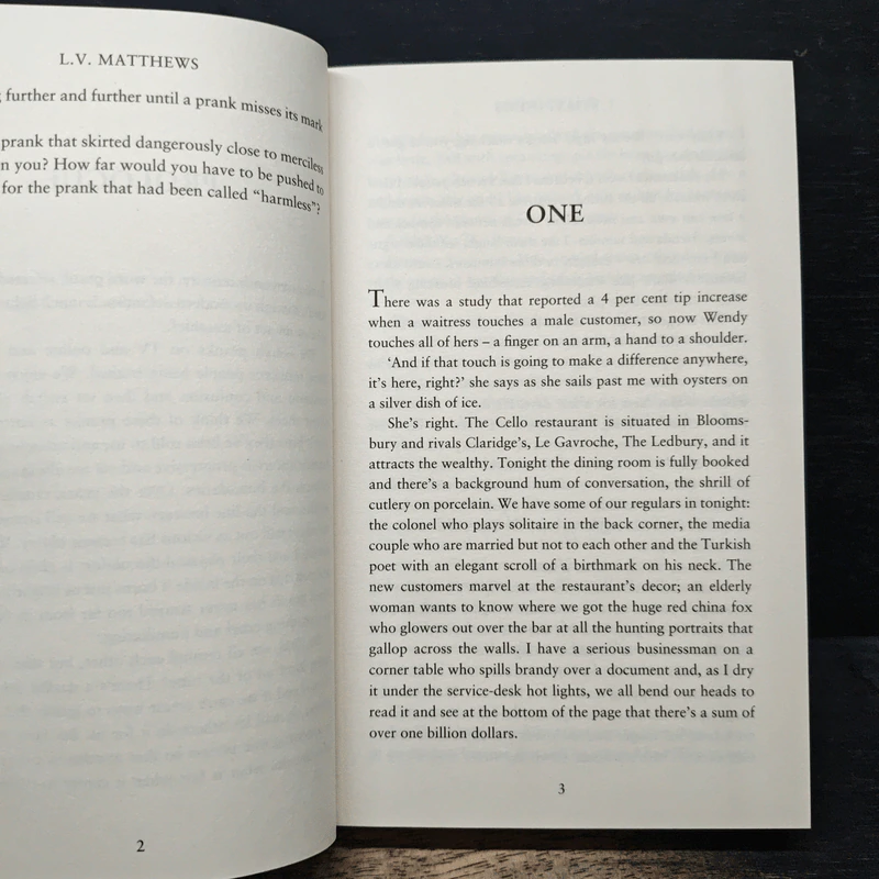The Prank - L.V. Matthews รูปที่ 8
