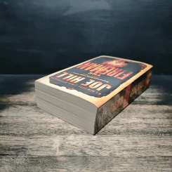 The Fireman - Joe Hill รูปที่ 5