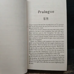 The Fireman - Joe Hill รูปที่ 7