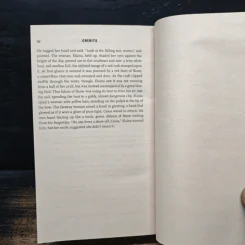 The Fireman - Joe Hill รูปที่ 9