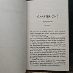 Liar - K.L.Slater รูปที่ 8