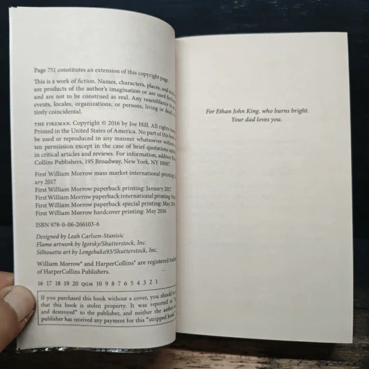The Fireman - Joe Hill รูปที่ 6