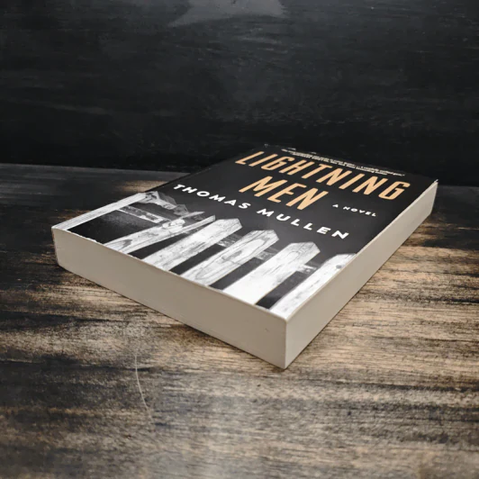 Lightning Men - Thomas Mullen รูปที่ 4