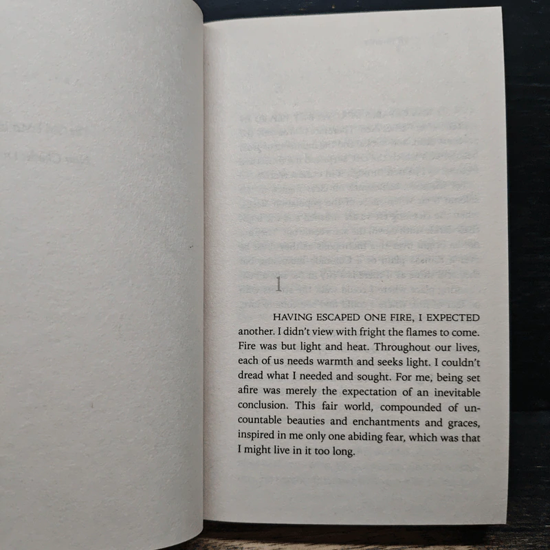 Innocence - Dean Koontz รูปที่ 7