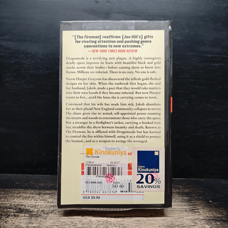 The Fireman - Joe Hill รูปที่ 2