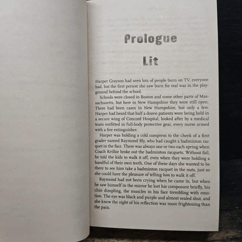 The Fireman - Joe Hill รูปที่ 7