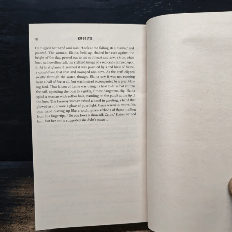The Fireman - Joe Hill รูปที่ 9