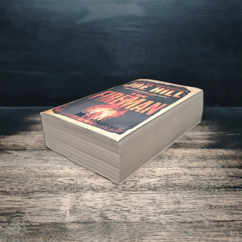 The Fireman - Joe Hill รูปที่ 4