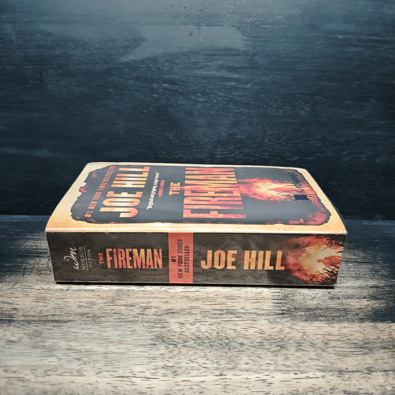 The Fireman - Joe Hill รูปที่ 3