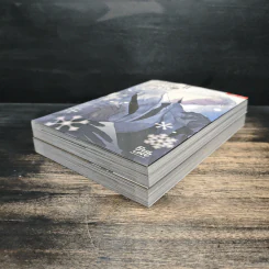 กุหลาบคู่แชมเปญ เล่ม 1-2 - ZIG รูปที่ 4