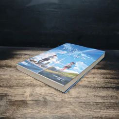 Your Name เธอคือ... - มาโคโตะ ชินไค (Makoto Shinkai), ปาวัน รูปที่ 4
