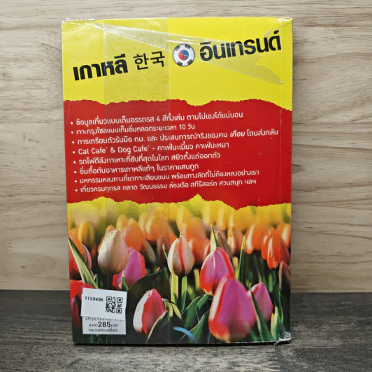 เกาหลีอินเทรนด์ รูปที่ 5