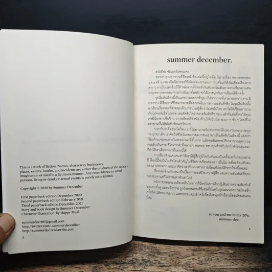The Chemistry - summer december รูปที่ 6