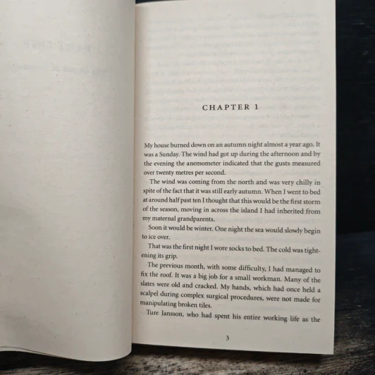 After the Fire - Henning Mankell รูปที่ 8