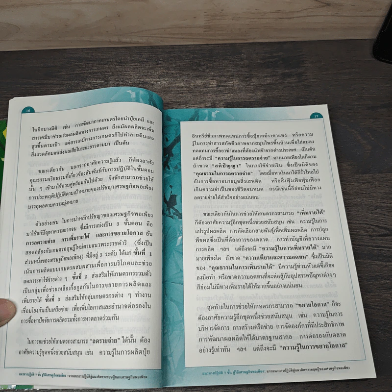 แนวทางปฎิบัติ 7 ขั้นสู่วิถีเศรษฐกิจพอเพียง - สุนัย เศรษฐ์บุญสร้าง รูปที่ 8