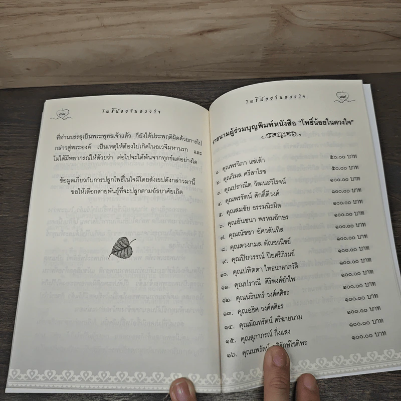 โพธิ์น้อยในดวงใจ - โพธิ์อ่อน รูปที่ 8