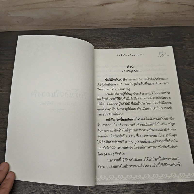 โพธิ์น้อยในดวงใจ - โพธิ์อ่อน รูปที่ 6