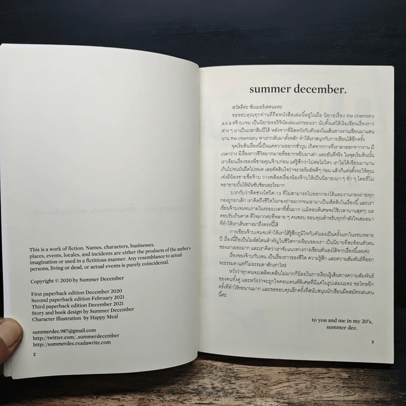 The Chemistry - summer december รูปที่ 6