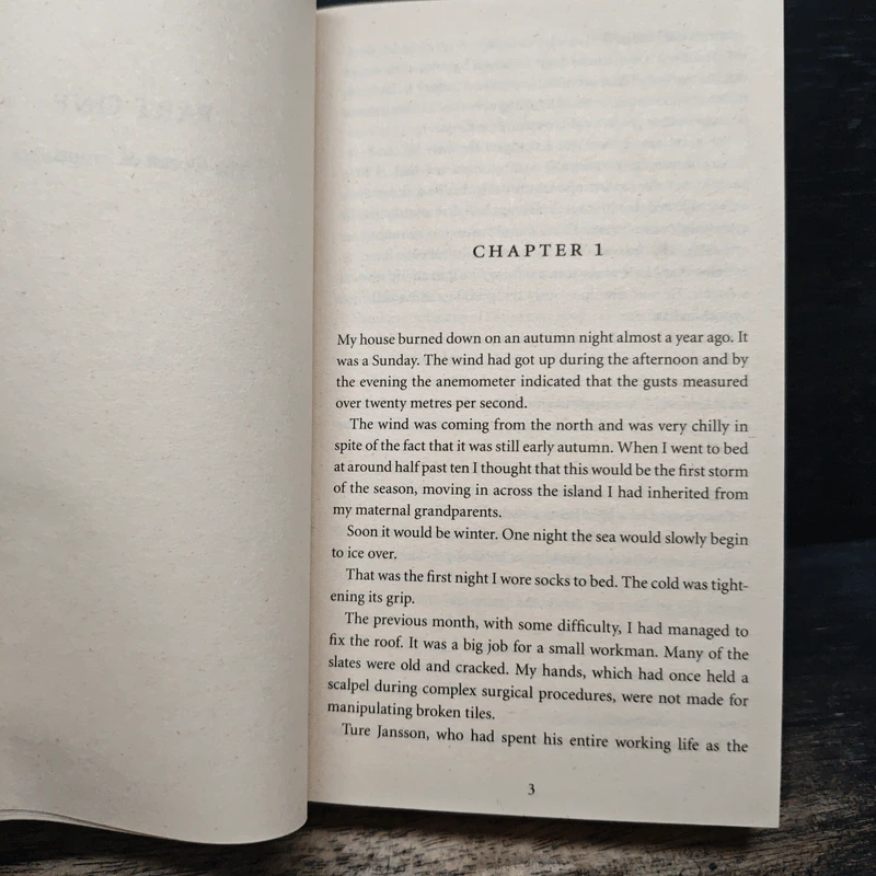 After the Fire - Henning Mankell รูปที่ 8