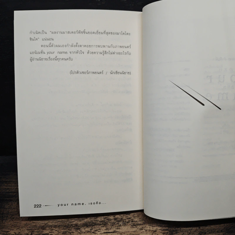Your Name เธอคือ... - มาโคโตะ ชินไค (Makoto Shinkai), ปาวัน รูปที่ 8
