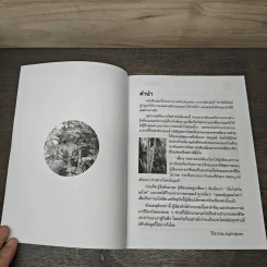 นาฬิกาชีวิต ตอน 2 มะรุม ต้นไม้เพื่อชีวิต - วิไลวรรณ อนุสารสุนทร รูปที่ 6