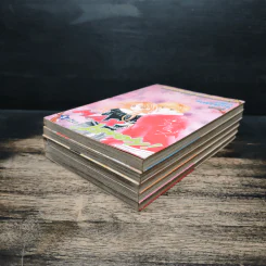 Max Lovely 5 เล่มจบ - Erika Kurahashi รูปที่ 3