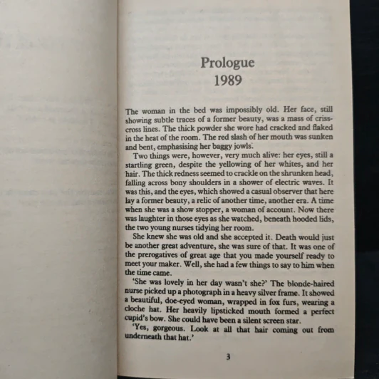 Goodnight Lady - Martina Cole รูปที่ 7