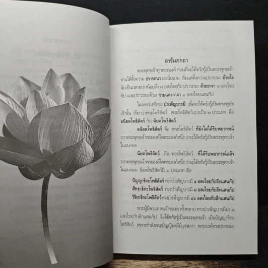 พระพุทธประวัติ รูปที่ 11