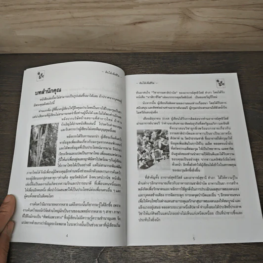 นาฬิกาชีวิต ตอน 2 มะรุม ต้นไม้เพื่อชีวิต - วิไลวรรณ อนุสารสุนทร รูปที่ 7