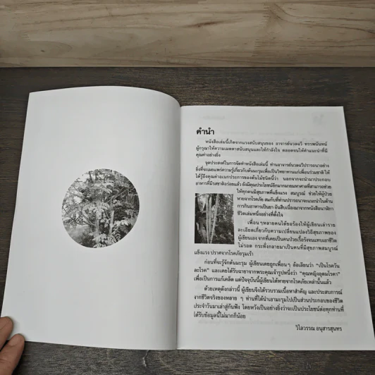นาฬิกาชีวิต ตอน 2 มะรุม ต้นไม้เพื่อชีวิต - วิไลวรรณ อนุสารสุนทร รูปที่ 6