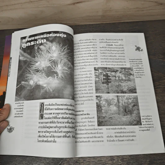 แค้มปิ้งท่องเที่ยว ฉบับพิเศษ Guide Book ชุด แผ่นดินเราสวย ภูกระดึง รูปที่ 7