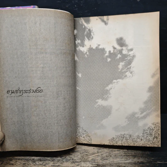 ยามซากุระร่วงโรย 2 เล่มจบ - Makoto Shinkai รูปที่ 9