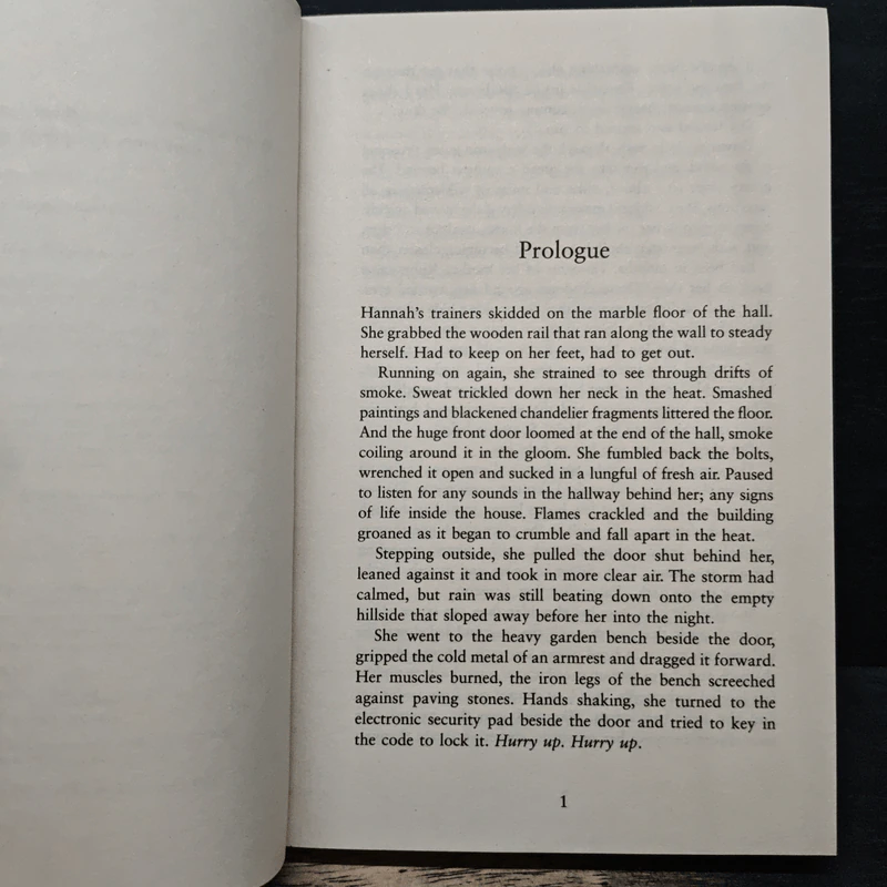 The Guest House - Abbie Frost รูปที่ 7