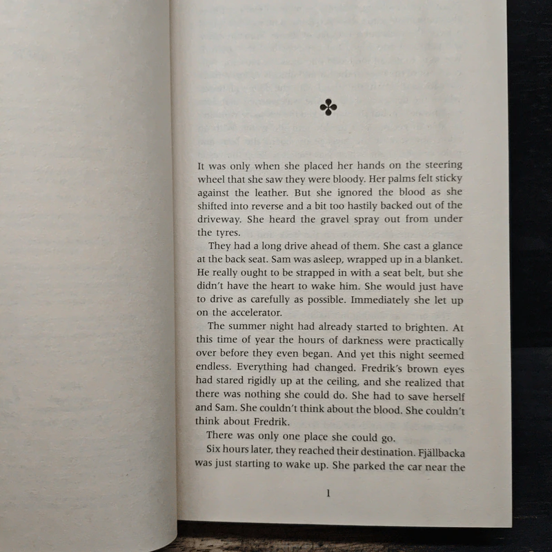 The Lost Boy - Camilla Lackberg รูปที่ 7