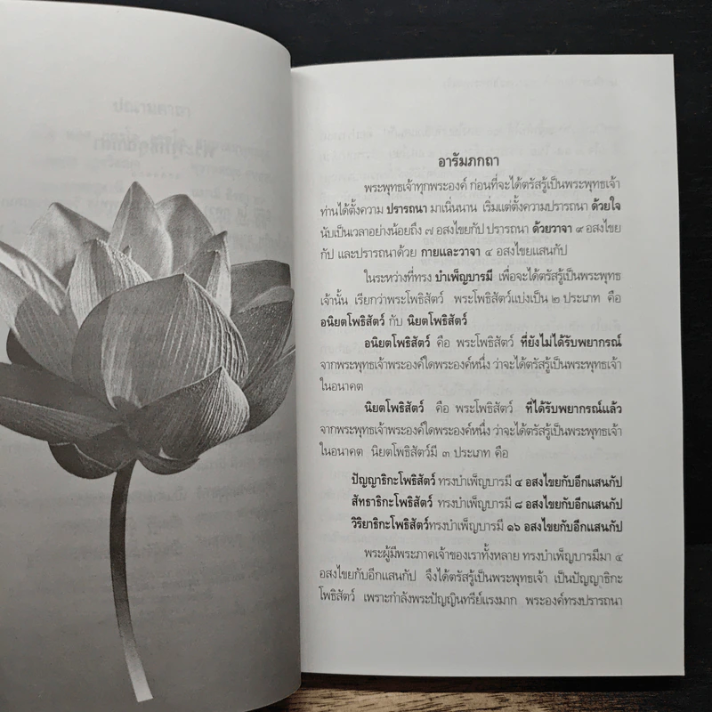 พระพุทธประวัติ รูปที่ 11