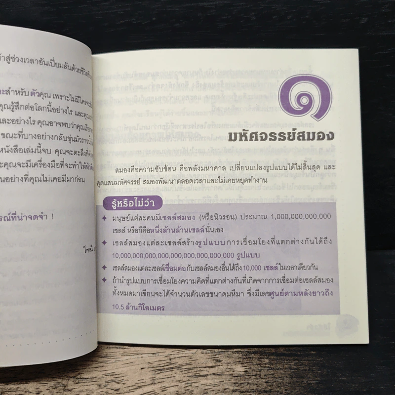 ใช้หัวจำ - โทนี บูซาน, นพดล จําปา รูปที่ 8