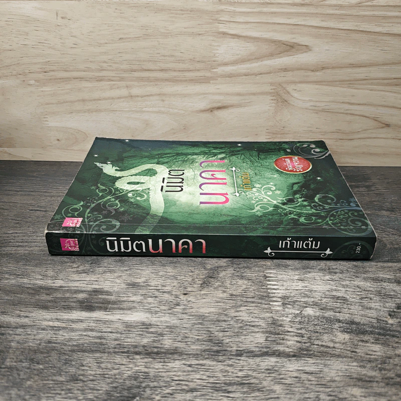 นิมิตนาคา - เก้าแต้ม รูปที่ 2