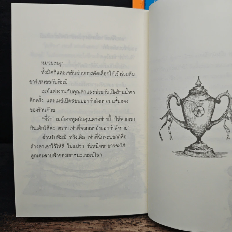 เด็กชายบินได้ + เด็กชายล่องหน + เด็กชายลูกเตะสายฟ้า - Sally Gardner, ม.ย.ร. มะลิ รูปที่ 10