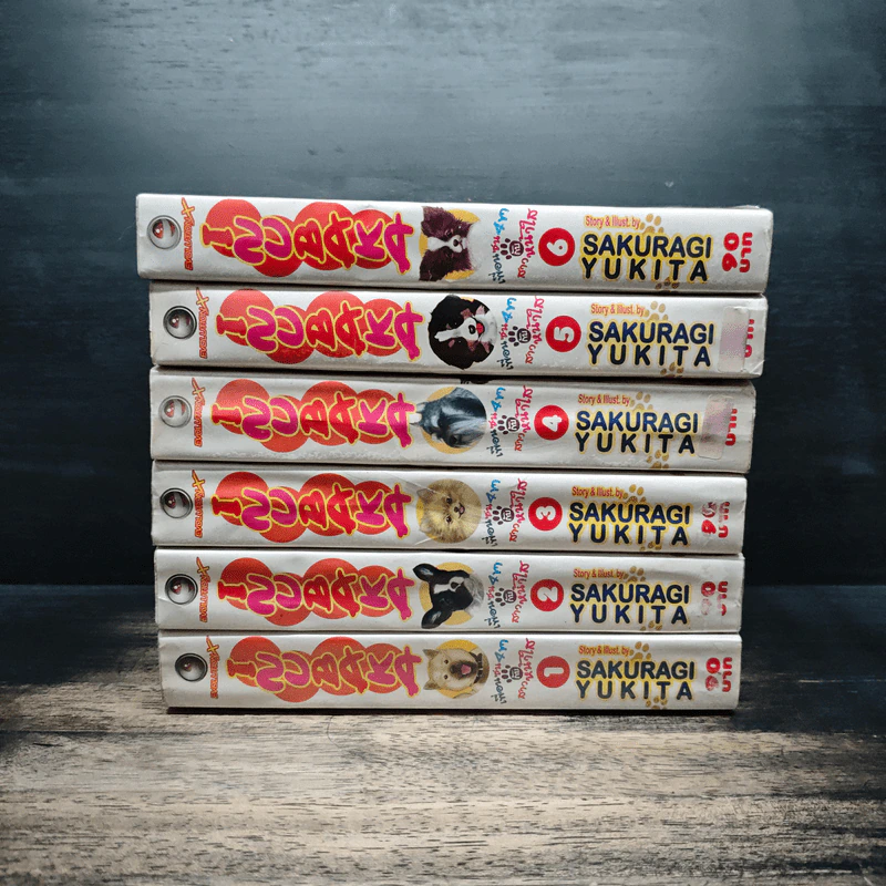 Inubaka เพื่อนซน 4 ขา กับสาวหน้าใส เล่ม 1-6 - SAKURAGI YUKITA รูปที่ 2