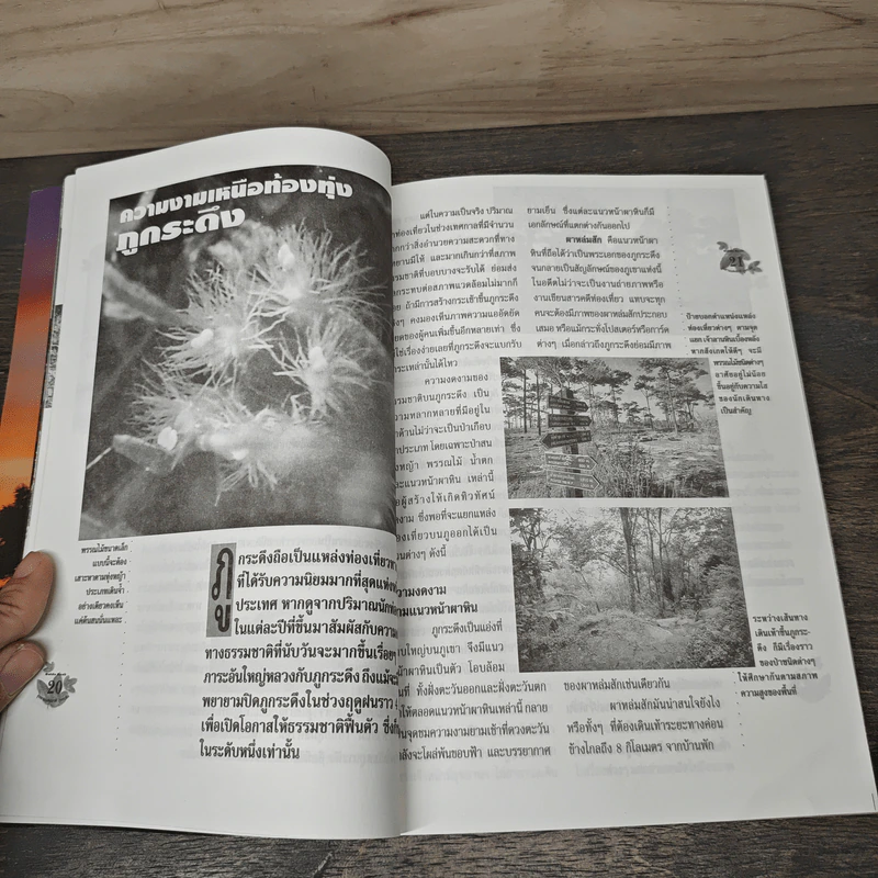 แค้มปิ้งท่องเที่ยว ฉบับพิเศษ Guide Book ชุด แผ่นดินเราสวย ภูกระดึง รูปที่ 7